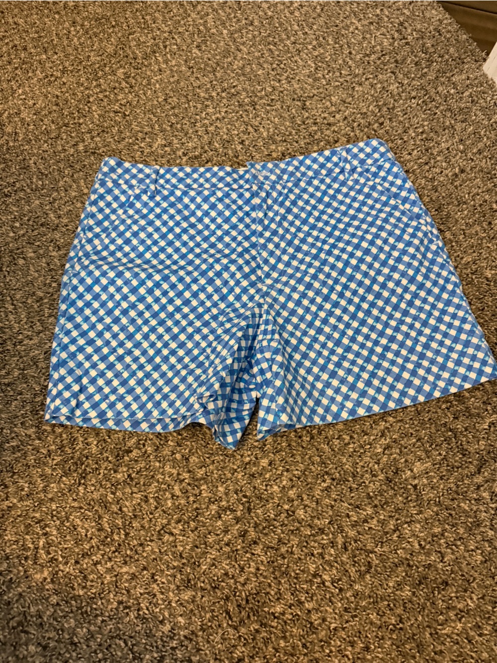 Lilly Pulitzer Blue and White Gingham Shorts
